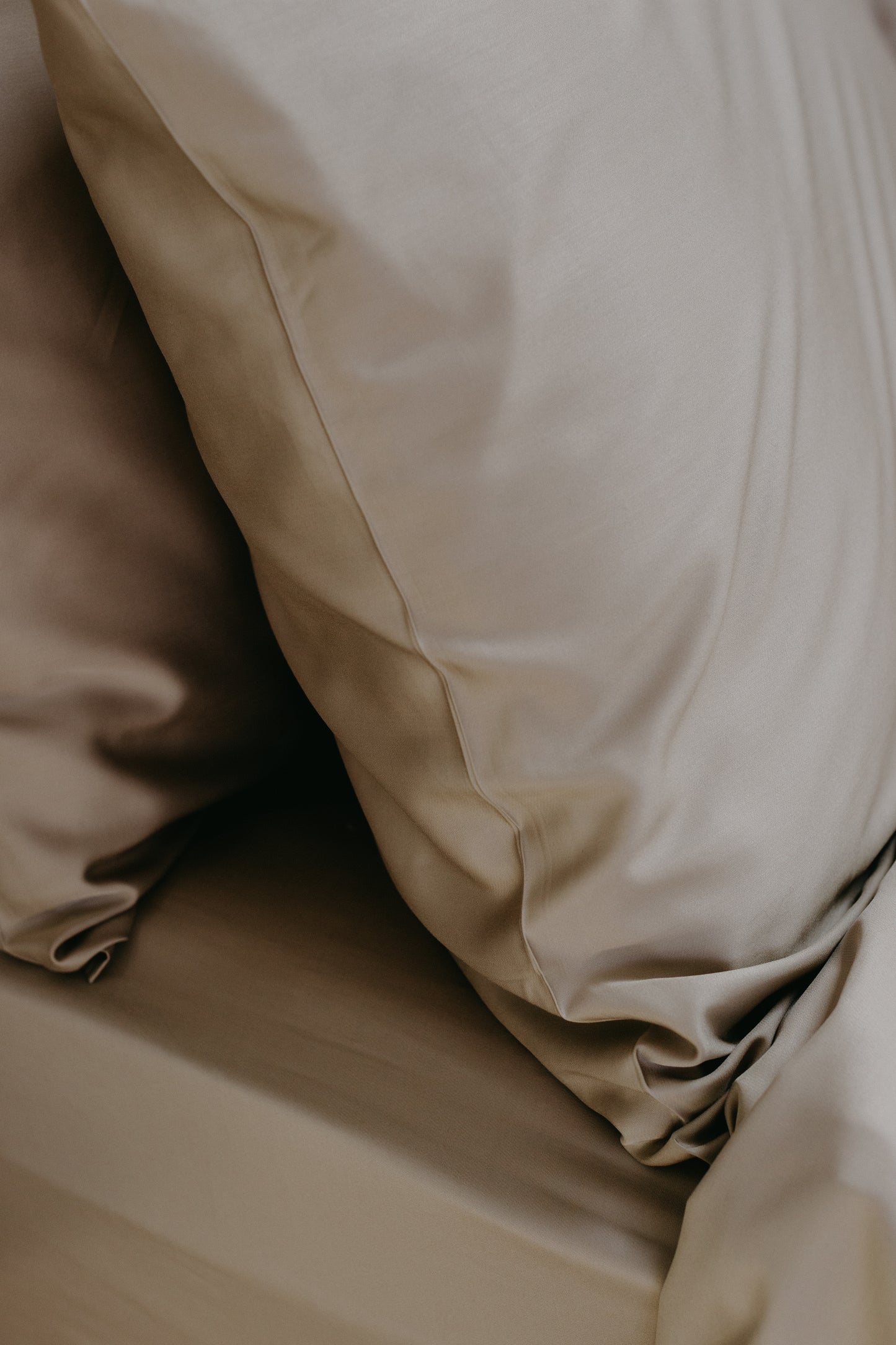 Bamboo Adult Pillowcases Set