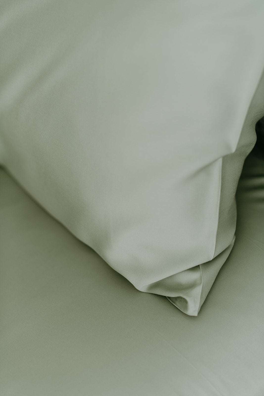 Bamboo Adult Pillowcases Set