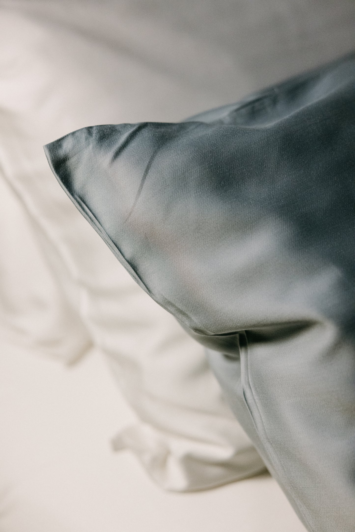 Bamboo Adult Pillowcases Set