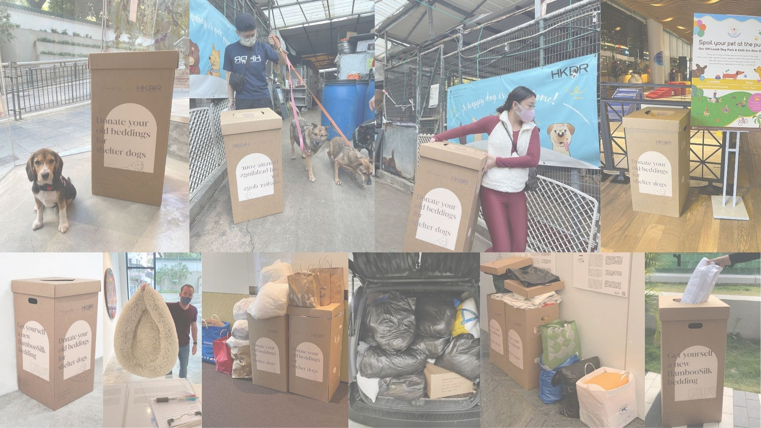 [Jan Charity] Upcycling Program for Hong Kong Dog Rescue