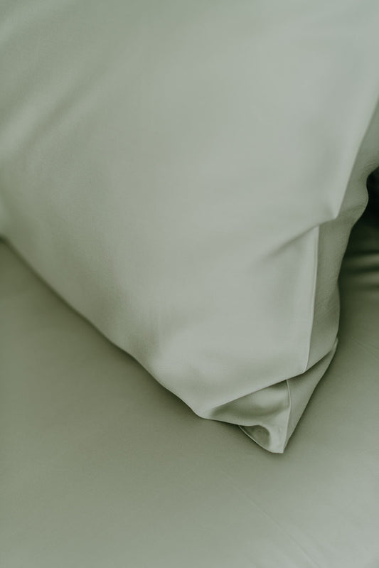 Bamboo Adult Pillowcases Set