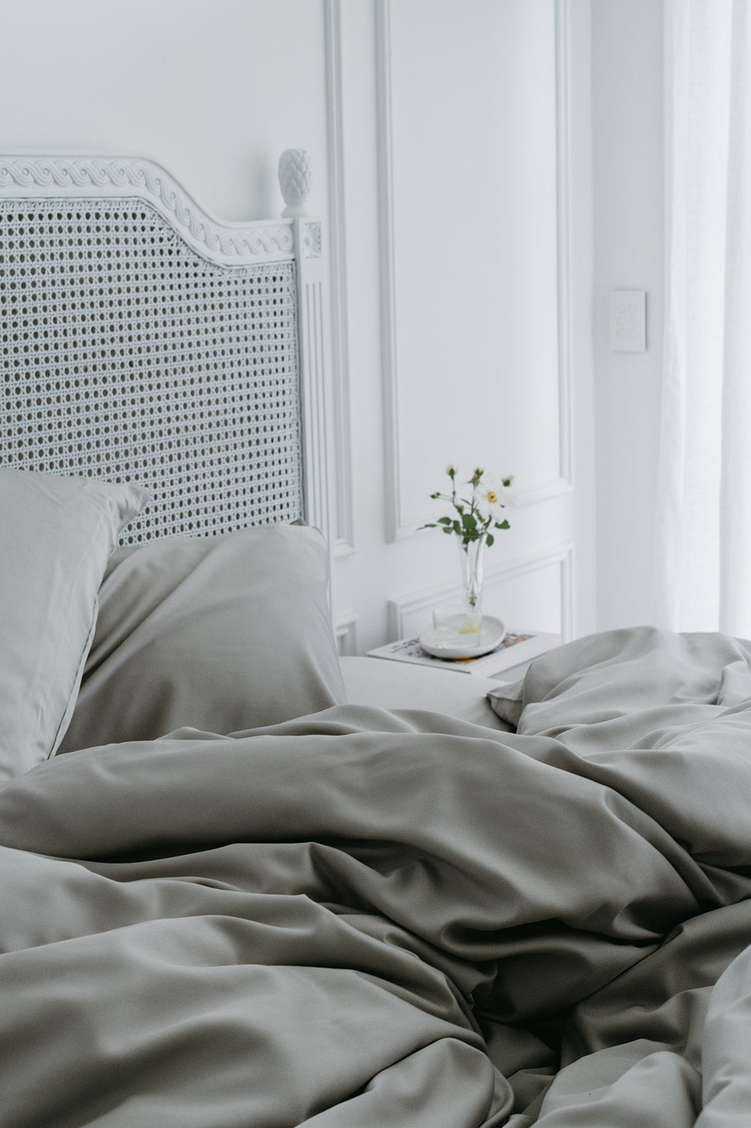 Bamboo Adult Pillowcases Set
