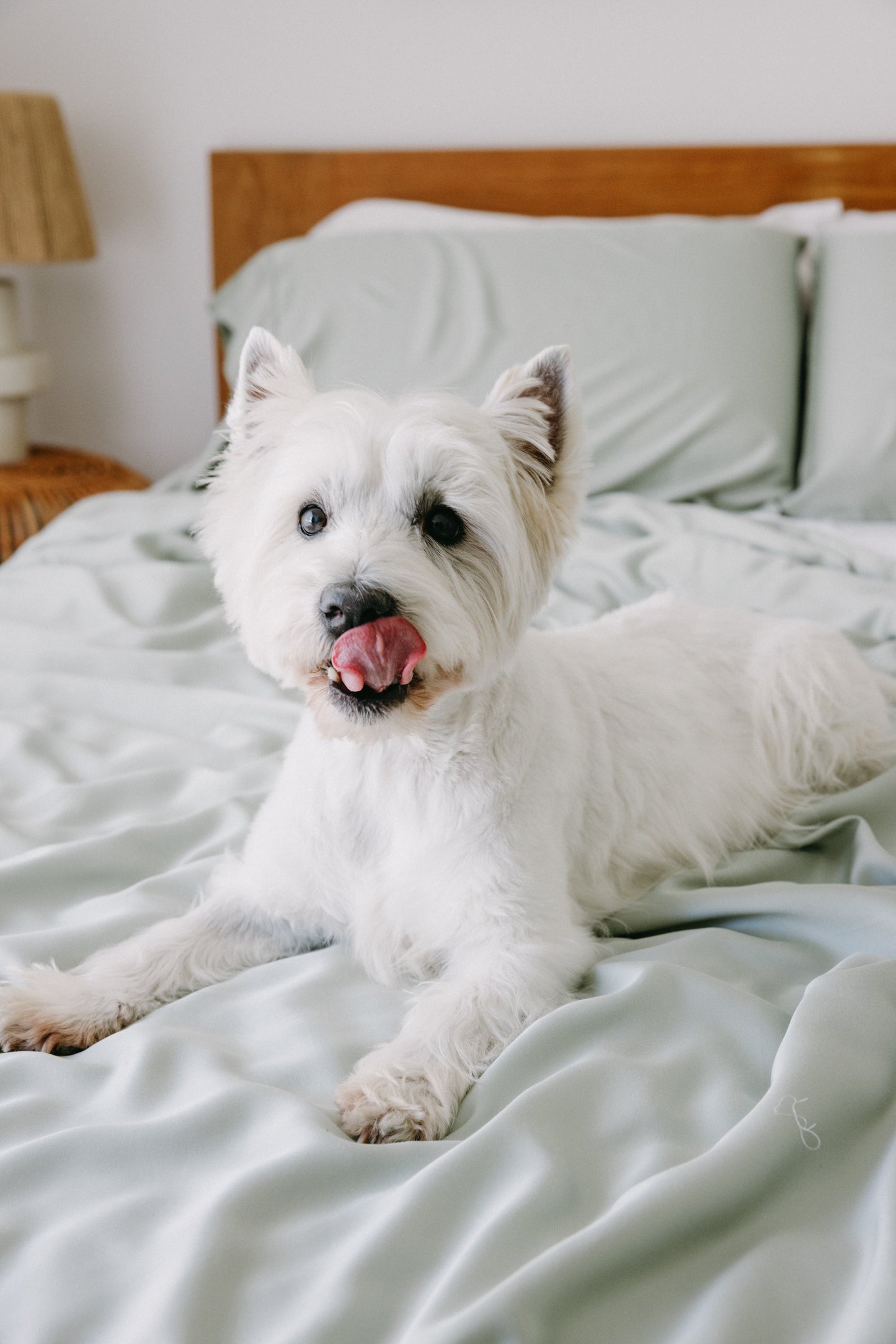 Bamboo Pet Bed Cover