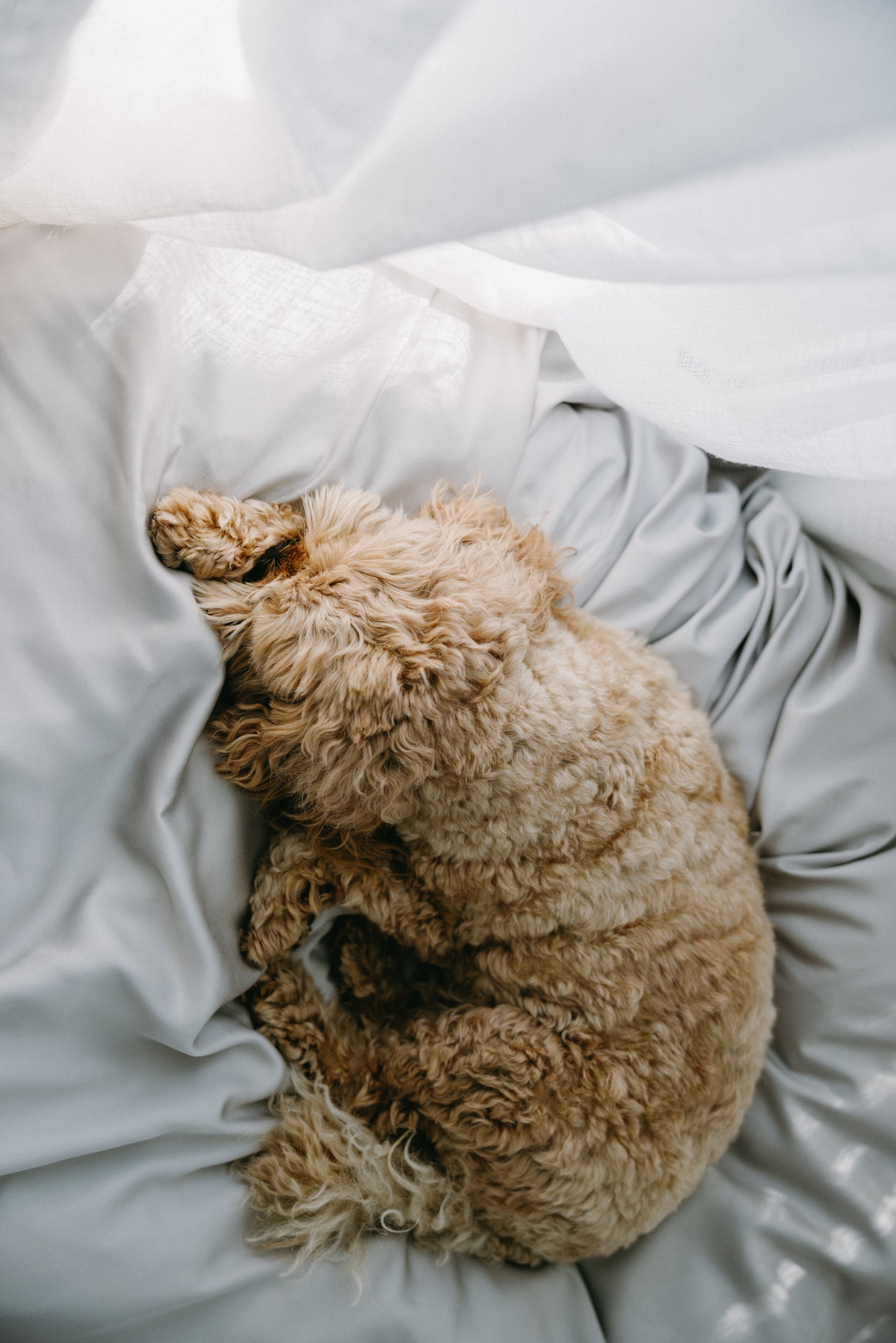 Bamboo Pet Bed Cover