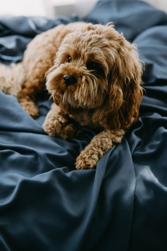 Bamboo Pet Bed Cover