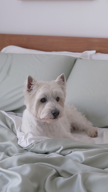 Video-pet-bedding-french-sage