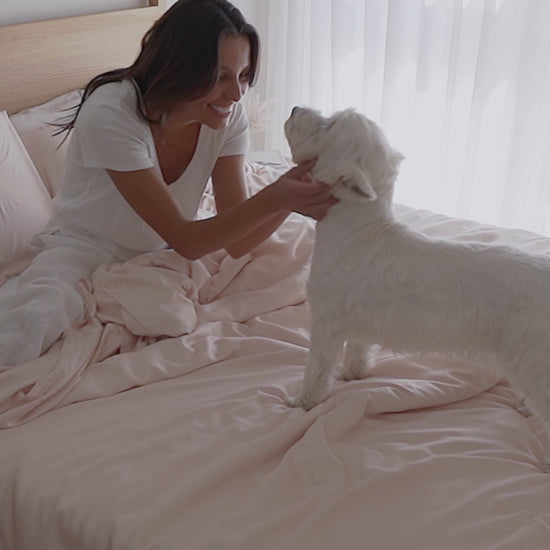 Video-pet-bedding-hampton-rose