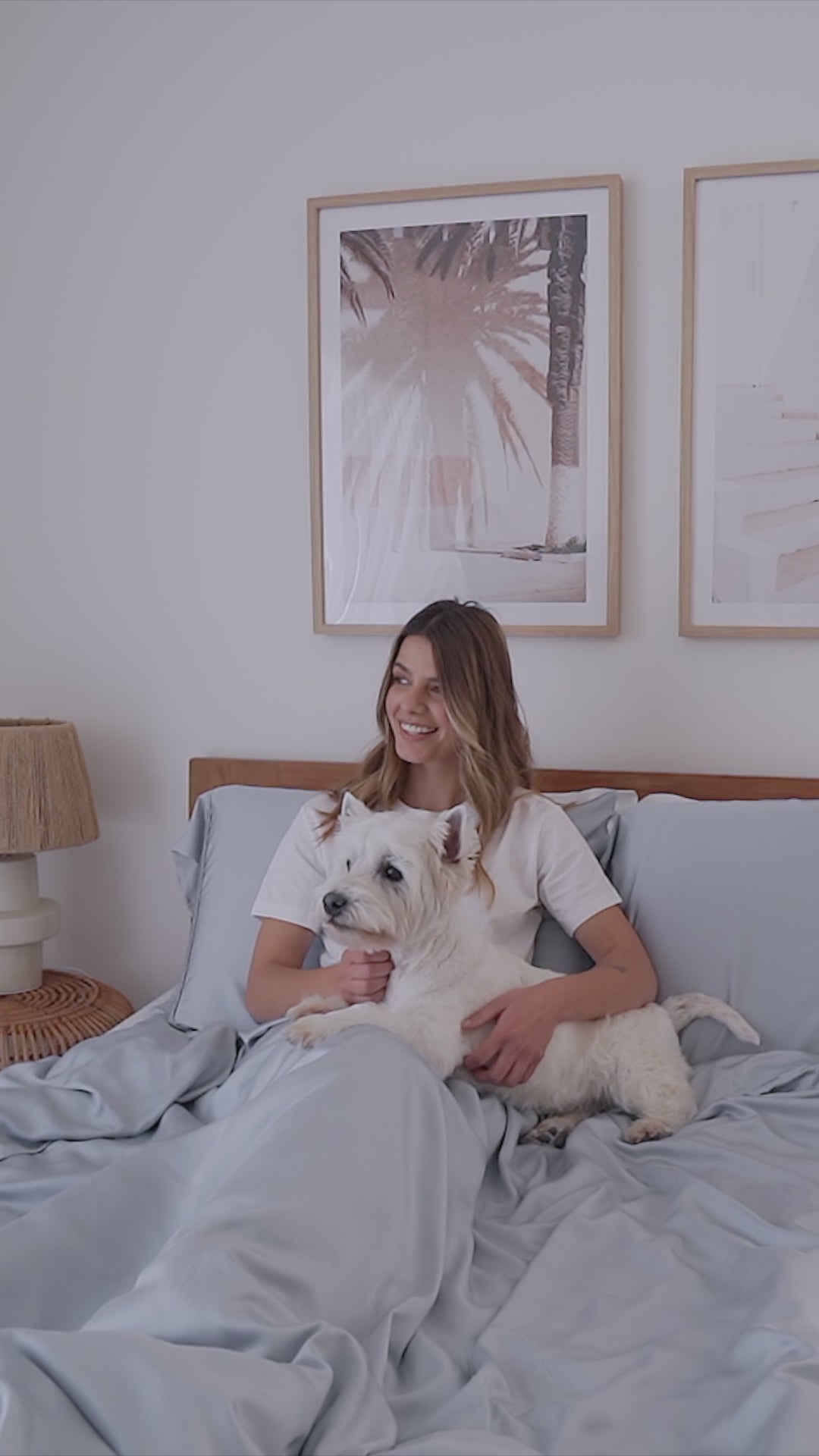 Video-pet-bedding-london-sky